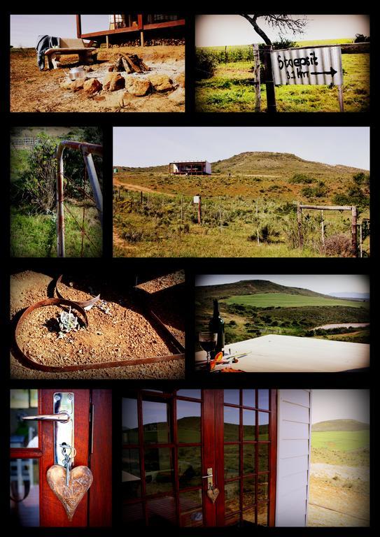 Вилла Melkboom Guest Farm Хейдельберг Экстерьер фото